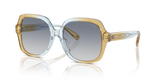 Cider/Baby Blue / Blue Gradient (581435)