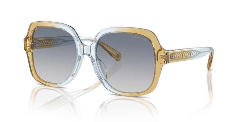 Coach CR614 in Cider/Baby Blue / Blue Gradient (581435) - Alternate View