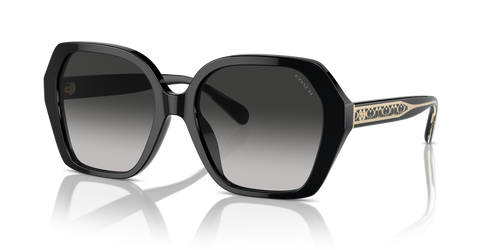 Black / Grey Gradient (50023C)