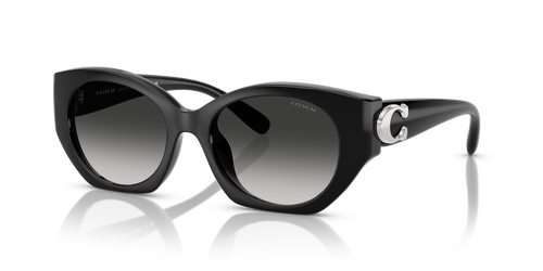 Black / Grey Gradient (50023C)