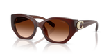 Milky Hazelnut / Brown Gradient (584174)