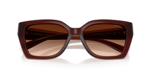 Milky Hazelnut / Brown Gradient (584174)