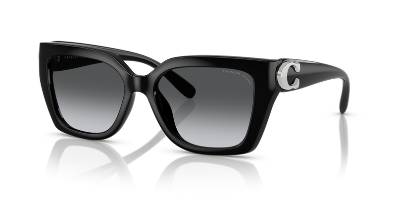 Coach CW195 in Black / Grey Gradient Polarized (5002T3) - Alternate View