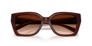 Milky Hazelnut / Brown Gradient (584174)
