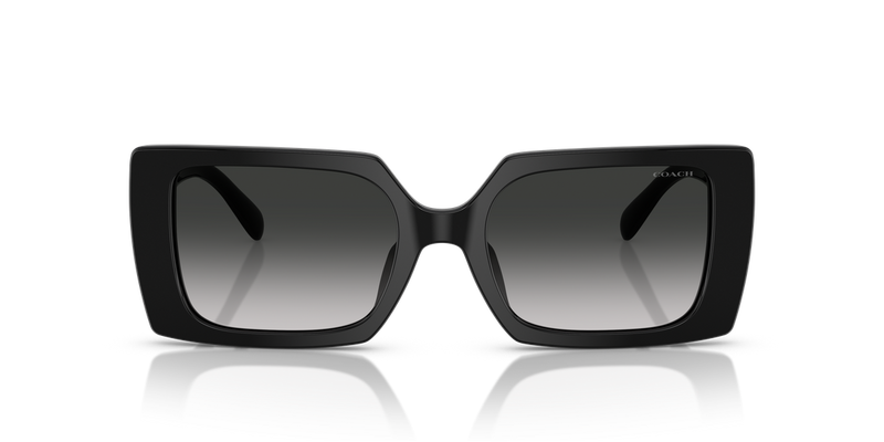 Coach CW224 in Black / Grey Gradient (50023C) - Alternate View
