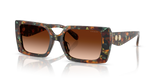 Jade Pearl Tortoise / Brown Gradient (584474)