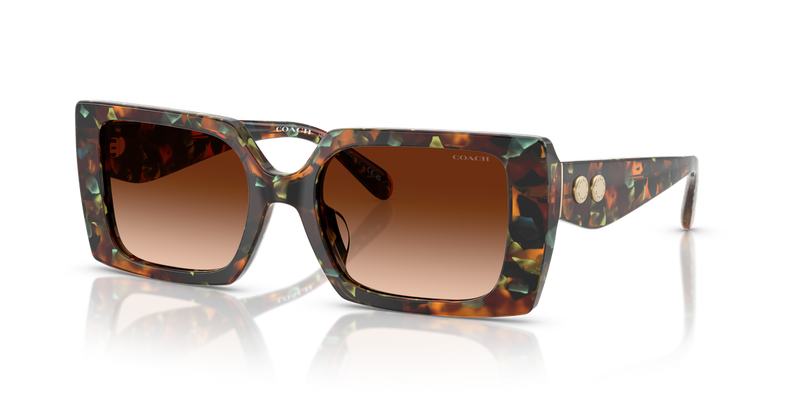 Coach CW224 in Jade Pearl Tortoise / Brown Gradient (584474) - Alternate View