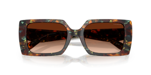 Jade Pearl Tortoise / Brown Gradient (584474)