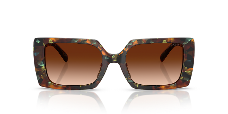 Coach CW224 in Jade Pearl Tortoise / Brown Gradient (584474) - Alternate View