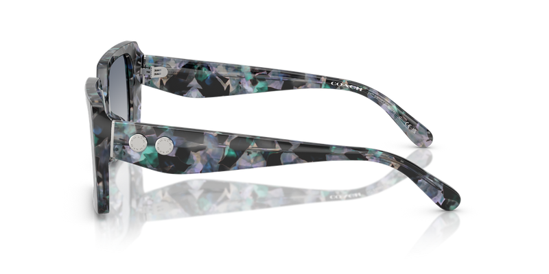 Coach CW224 in Blue Pearl Tortoise / Blue Purple Gradient (584535) - Alternate View