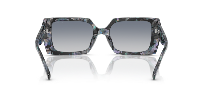 Coach CW224 in Blue Pearl Tortoise / Blue Purple Gradient (584535) - Alternate View