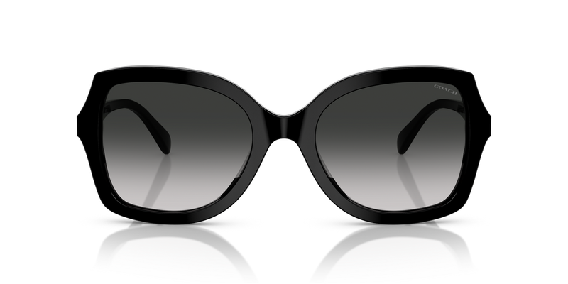 Coach CW225 in Black / Grey Gradient (50023C) - Alternate View