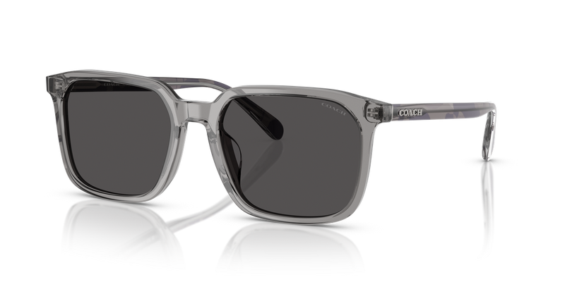 Coach CW405 in Transparent Grey / Grey Solid (584987) - Alternate View