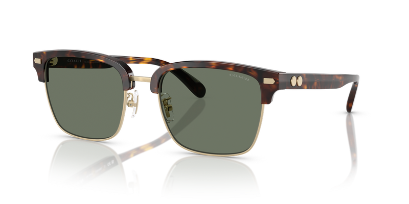 Coach CW406 in Light Gold/Dark Tortoise / Green Solid (51203H) - Alternate View