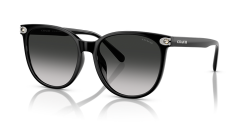Black / Grey Gradient (50023C)