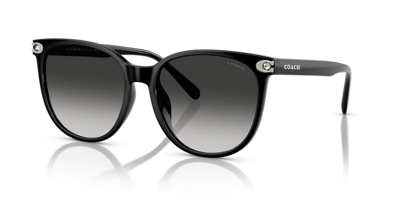 Coach CW428 in Black / Grey Gradient (50023C) - Front View