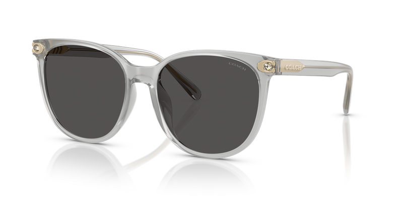 Coach CW428 in Transparent Dove / Grey Solid (561487) - Alternate View