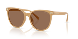 Milky Tea / Brown Solid (585473)