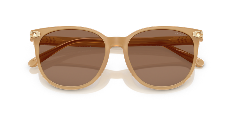 Coach CW428 in Milky Tea / Brown Solid (585473) - Alternate View