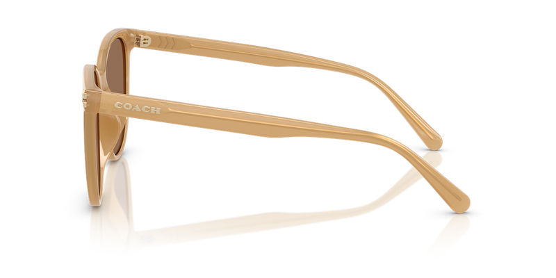 Coach CW428 in Milky Tea / Brown Solid (585473) - Alternate View