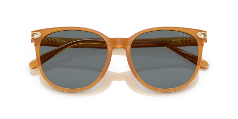 Coach CW428 in Milky Amber / Grey Solid (585580) - Alternate View
