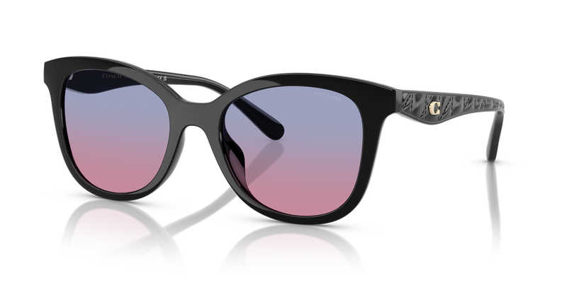 Coach CAD25 in Black / Blue Purple Gradient (500218) - Alternate View