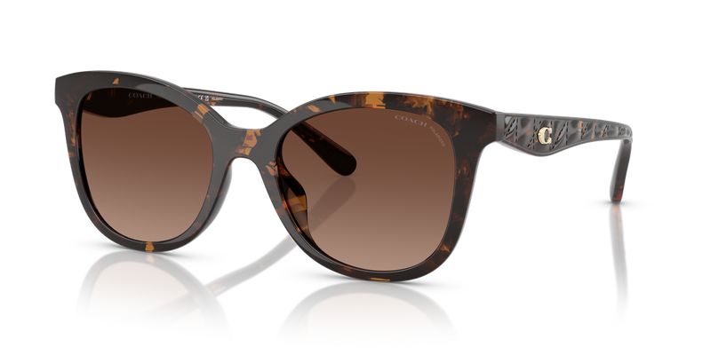 Coach CAD25 in Dark Tortoise / Brown Gradient Polarized (5120T5) - Alternate View