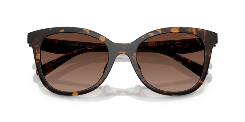 Coach CAD25 in Dark Tortoise / Brown Gradient Polarized (5120T5) - Alternate View