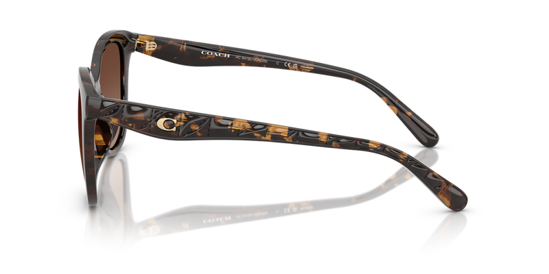Coach CAD25 in Dark Tortoise / Brown Gradient Polarized (5120T5) - Alternate View