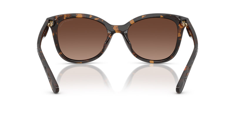 Coach CAD25 in Dark Tortoise / Brown Gradient Polarized (5120T5) - Alternate View