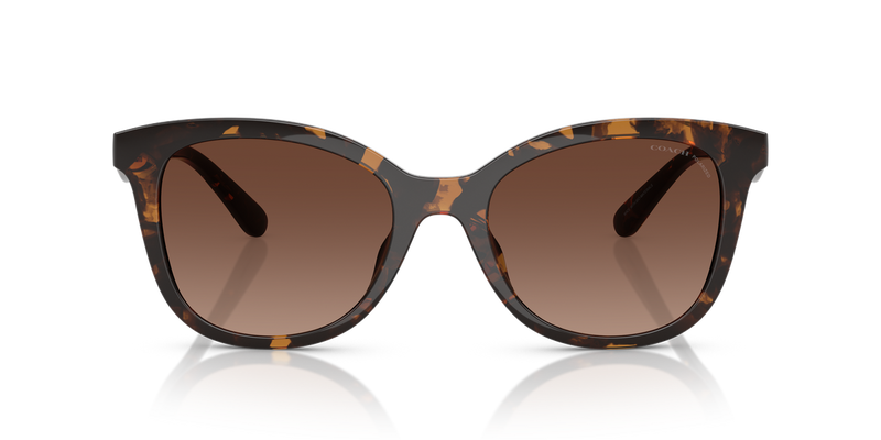 Coach CAD25 in Dark Tortoise / Brown Gradient Polarized (5120T5) - Alternate View
