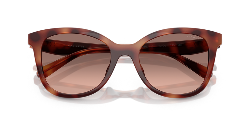 Coach CAD25 in Caramel Tortoise / Brown Pink Gradient (577413) - Alternate View
