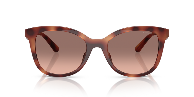 Coach CAD25 in Caramel Tortoise / Brown Pink Gradient (577413) - Alternate View