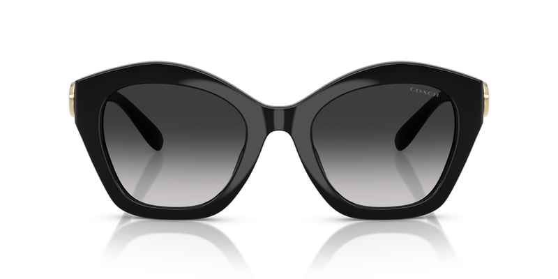 Coach CAD31 in Black / Grey Gradient (50023C) - Alternate View