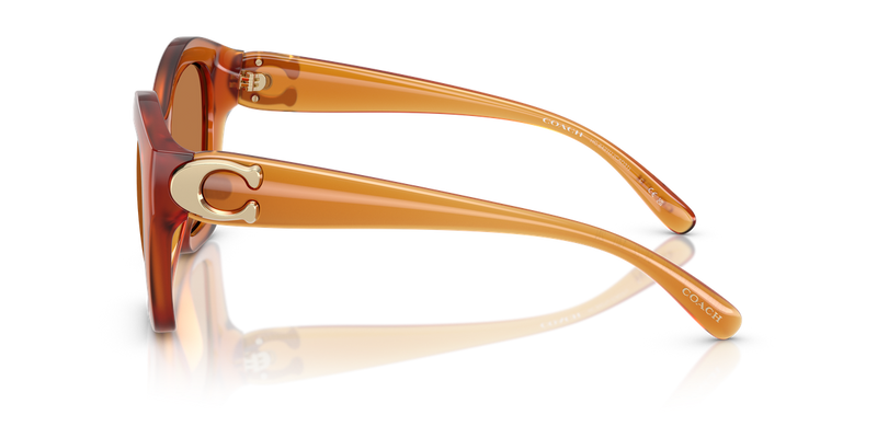 Coach CAD31 in Milky Amber / Brown Solid (564773) - Alternate View
