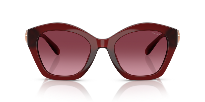 Coach CAD31 in Milky Burgundy / Burgundy Gradient (58708H) - Alternate View
