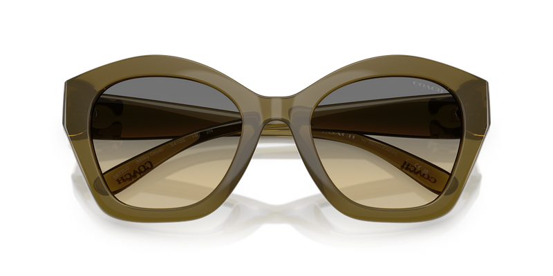 Coach CAD31 in Milky Olive / Grey Olive Gradient (5872L0) - Alternate View
