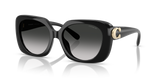 Black / Grey Gradient (50023C)
