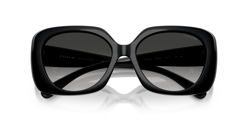 Coach CAD33 in Black / Grey Gradient (50023C) - Side View