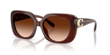 Milky Hazelnut / Brown Gradient (584174)