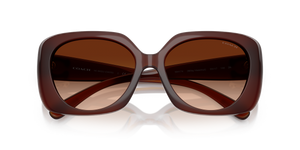 Milky Hazelnut / Brown Gradient (584174)