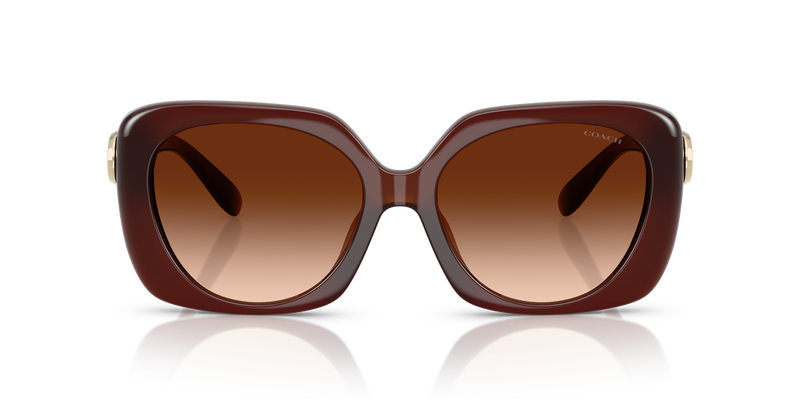 Coach CAD33 in Milky Hazelnut / Brown Gradient (584174) - Alternate View
