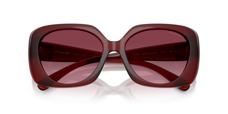Coach CAD33 in Milky Burgundy / Burgundy Gradient (58708H) - Alternate View