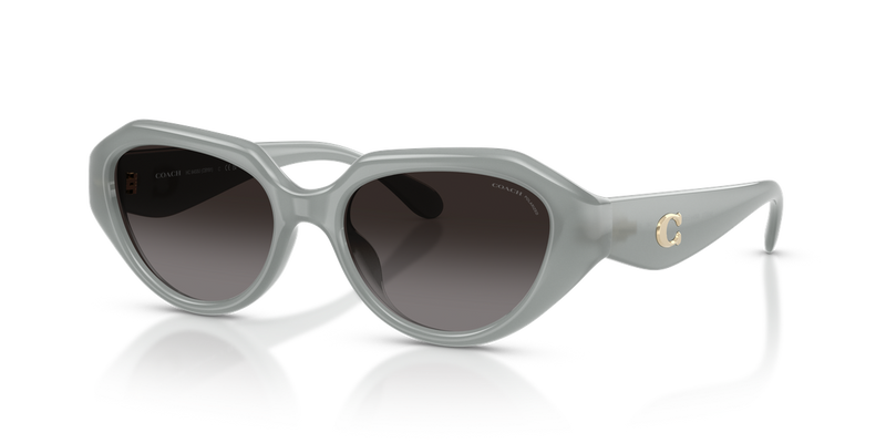 Coach CBY77 in Milky Eucalyptus / Grey (5905T3) - Alternate View