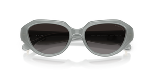 Milky Eucalyptus / Grey (5905T3)