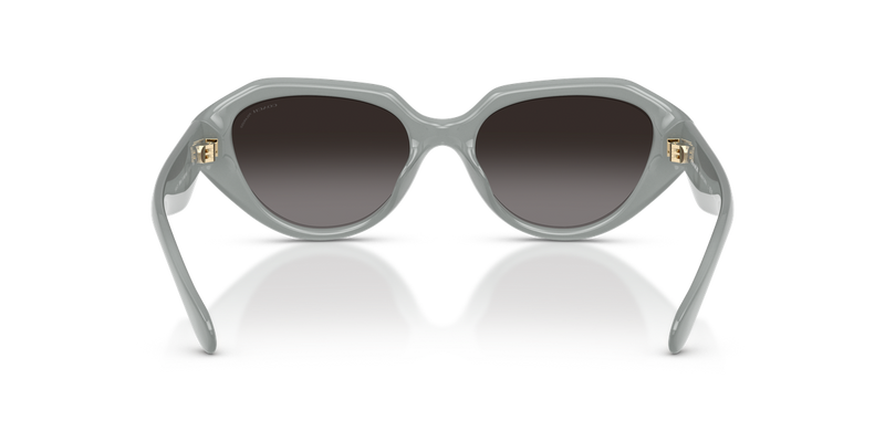 Coach CBY77 in Milky Eucalyptus / Grey (5905T3) - Alternate View