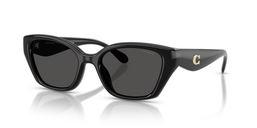 Black / Grey Solid (500287)