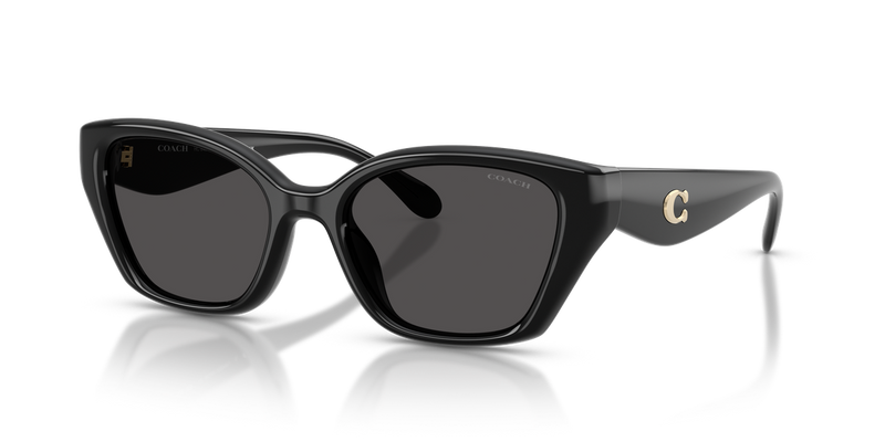 Coach CBY91 in Black / Grey Solid (500287) - Front View