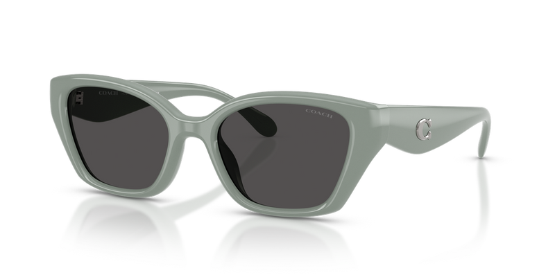 Coach CBY91 in Industrial Grey / Grey Solid (592487) - Alternate View