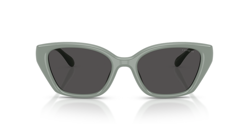 Coach CBY91 in Industrial Grey / Grey Solid (592487) - Alternate View